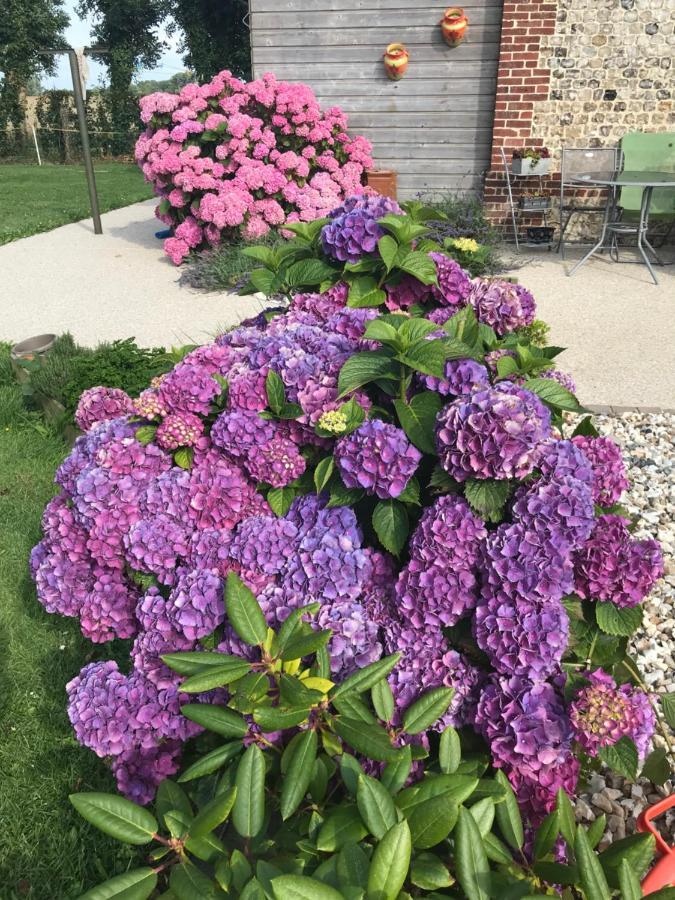 La Grange Aux Hortensias Thiergeville Zewnętrze zdjęcie